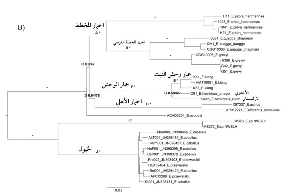  الخريطة الجينية لفصيلة الخيليات